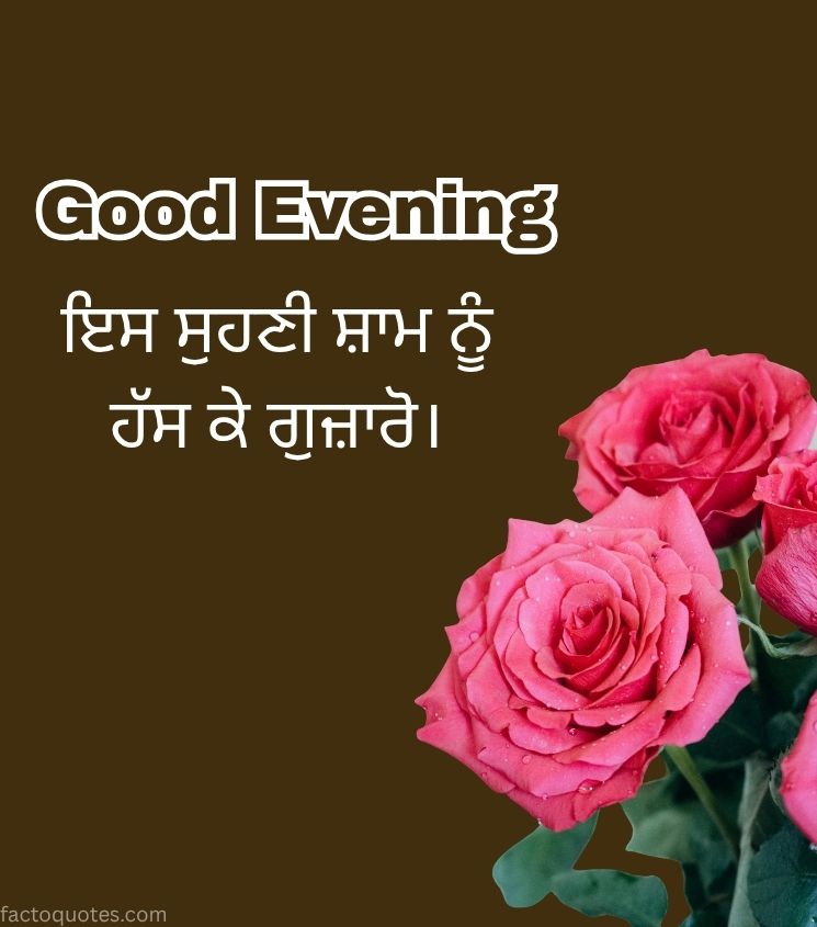 Good Evening Images in Punjabi with Flowers