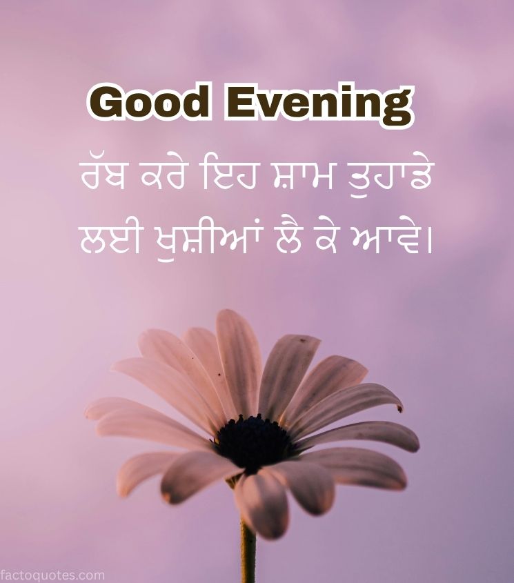 Good Evening Punjabi Wishes with Flower