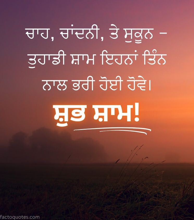 Punjabi Good Evening Wishes