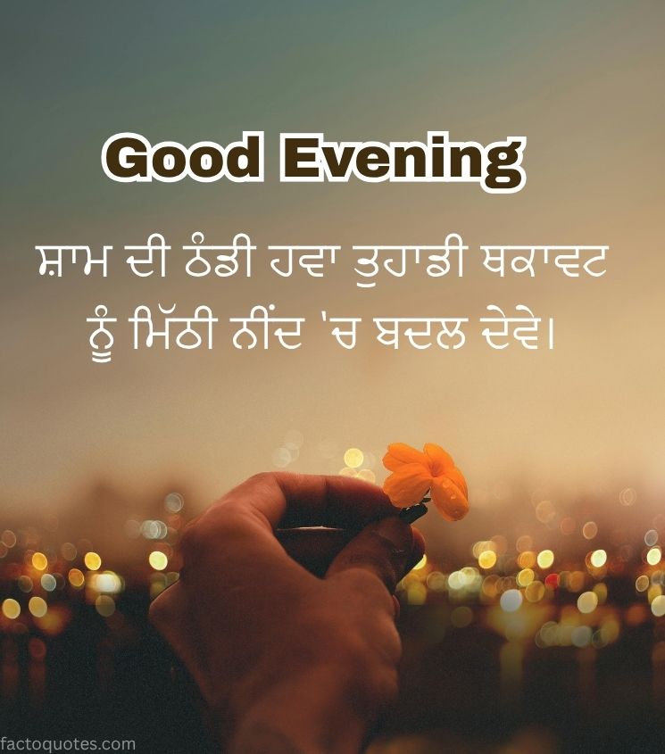 Punjabi Good Evening Wishes for Lover