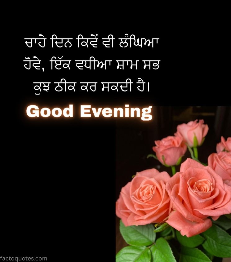 Punjabi Good Evening Images with Roses