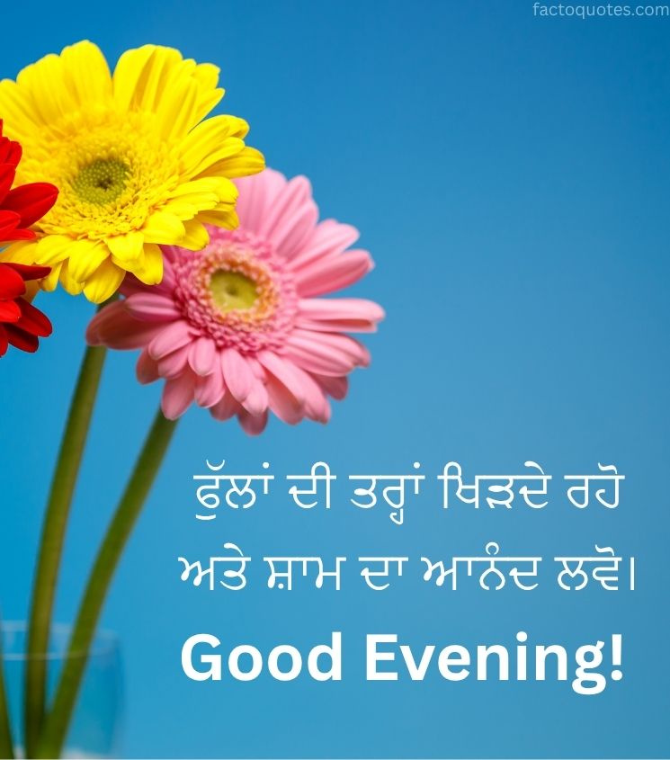 Punjabi Good Evening Wishes with Flowers for Lovers