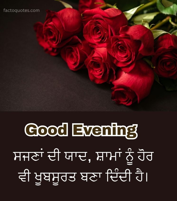 Love Good Evening Wishes in Punjabi with Roses