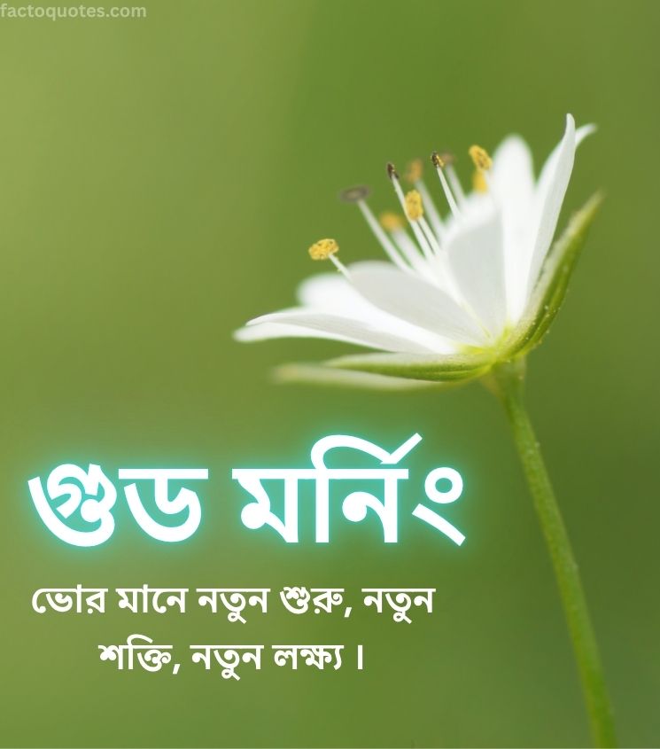 Good Morning Wishes in Bengali with Flower