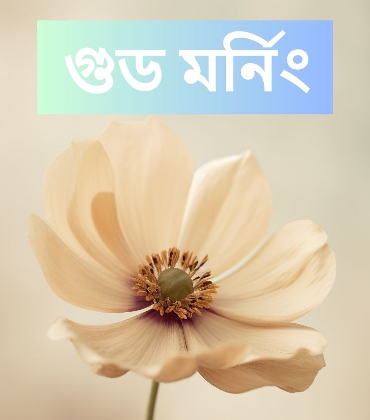 Good Morning Wishes in Bengali with Flower