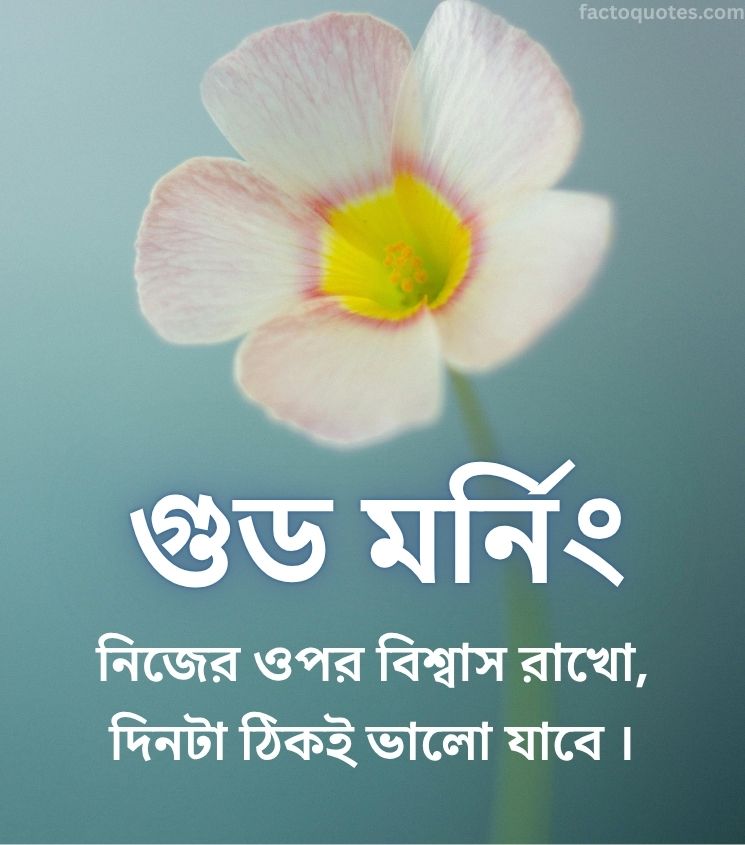 Good Morning Pics in Bengali with Flowers