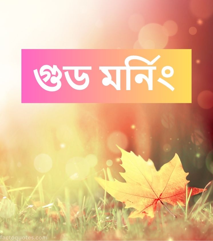 Bengali Good Morning Pics for Status