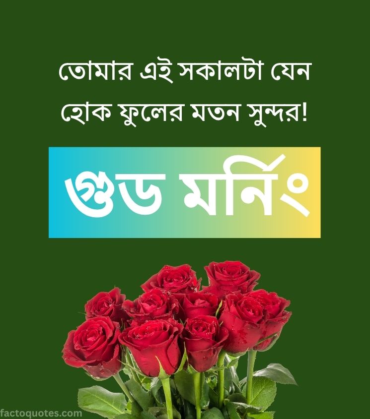 Bengali Good Morning Pictures with Rose Flower