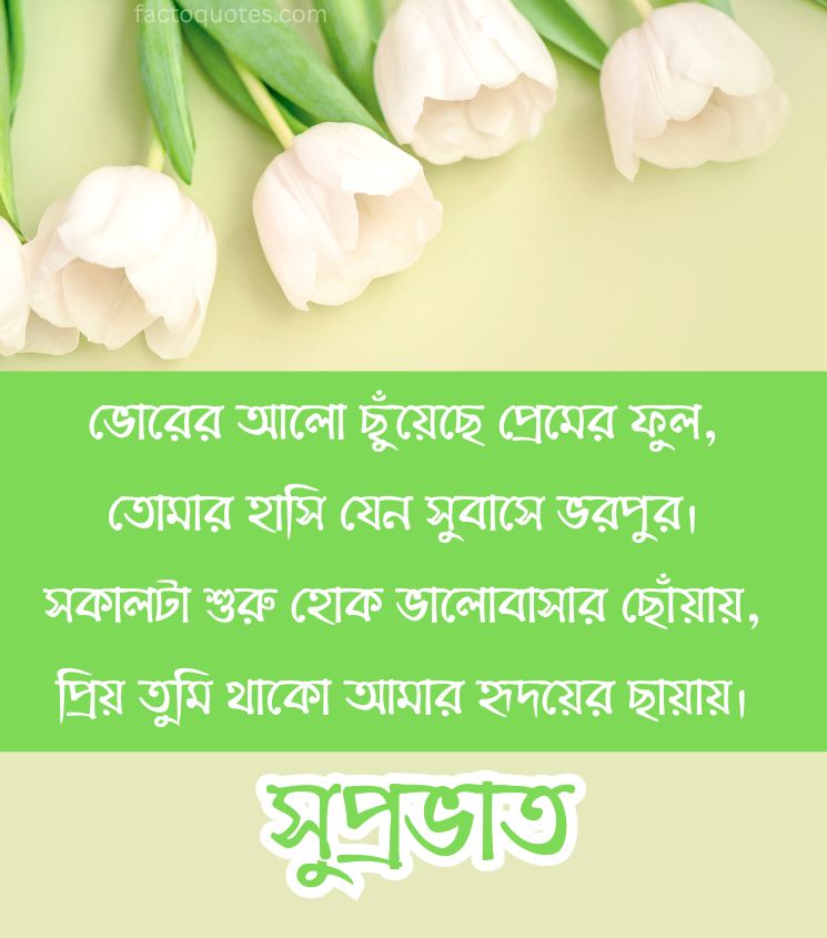 Romantic Bengali Suprabhat Shayari