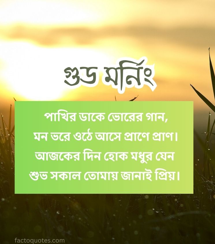 Bengali Good Morning Shayari Love