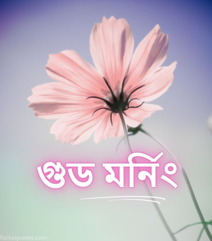 Flower with Good Morning Wishes in Bengali