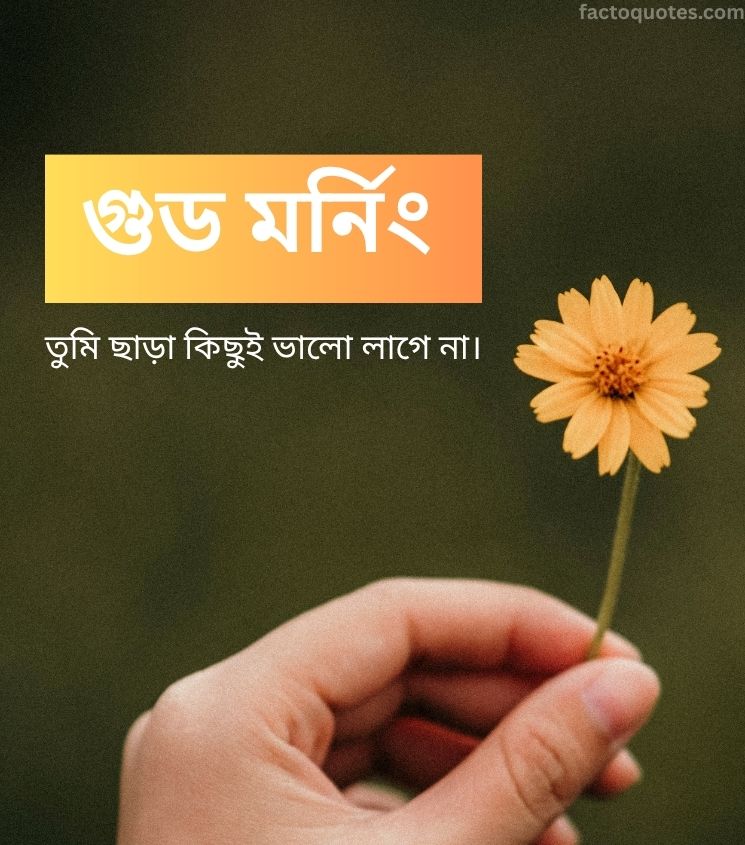 Bengali Good Morning Pics with Flower