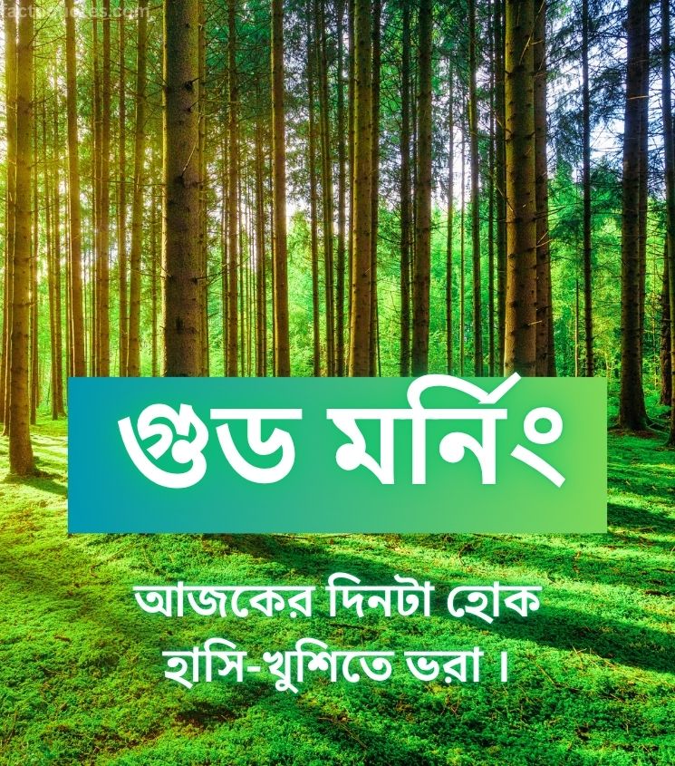 Bengali Good Morning Images for Status