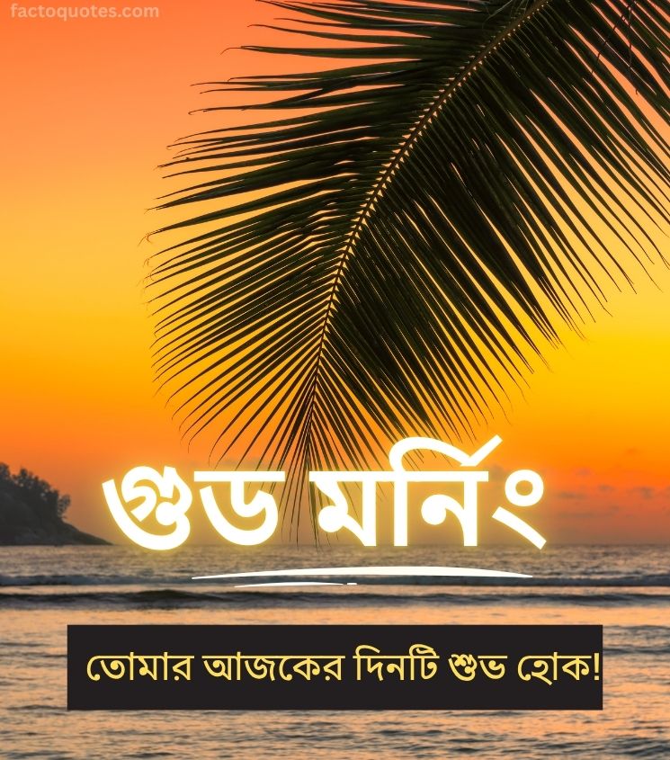 Good Morning Nature Images in Bengali
