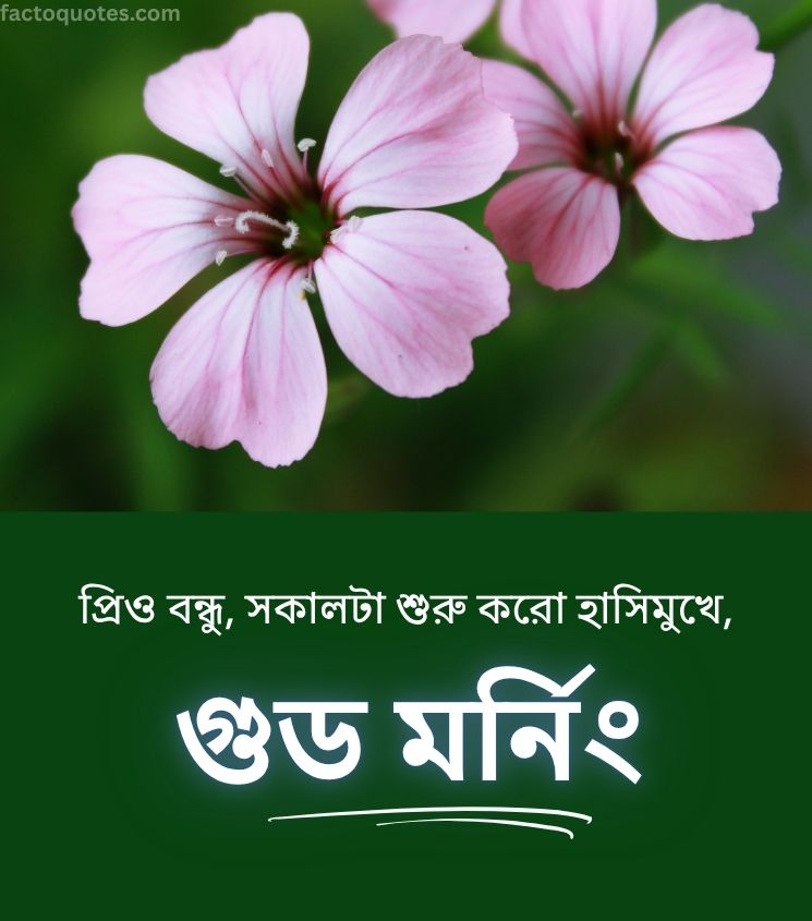 Bengali Good Morning Flower Images