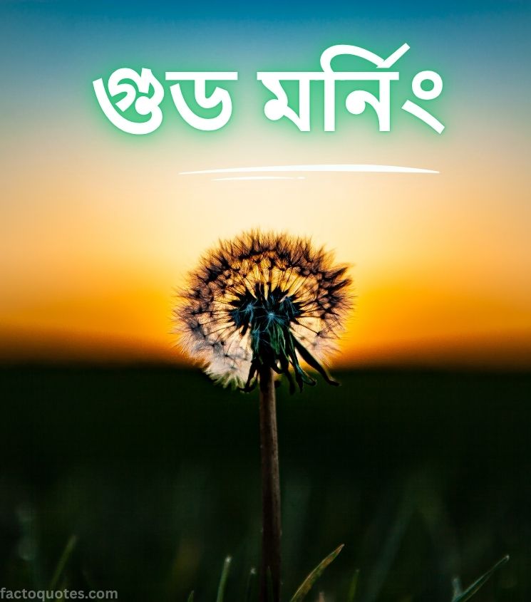 Good Morning Wishes Bangla