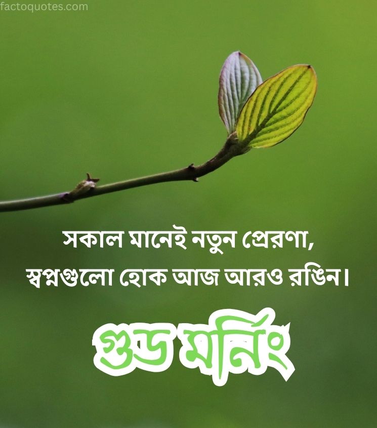 2 Lines Bengali Good Morning Shayari