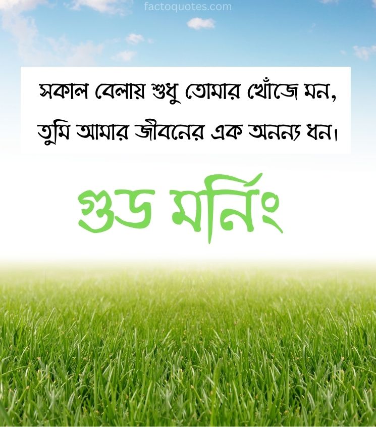 Bengali Romantic Love Good Morning Shayari for Status