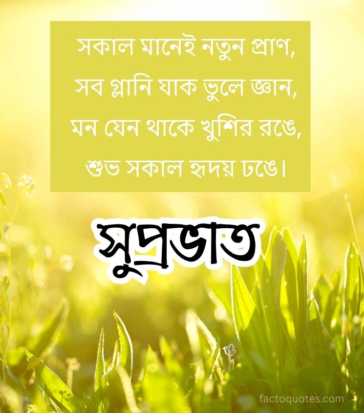 Good Morning Shayari Status in Bengali
