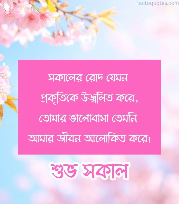 Bengali Good Morning Shayari with Flowers