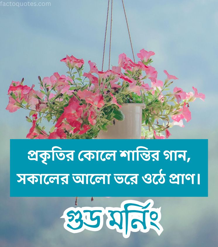 Bengali Good Morning Shayari with Flower