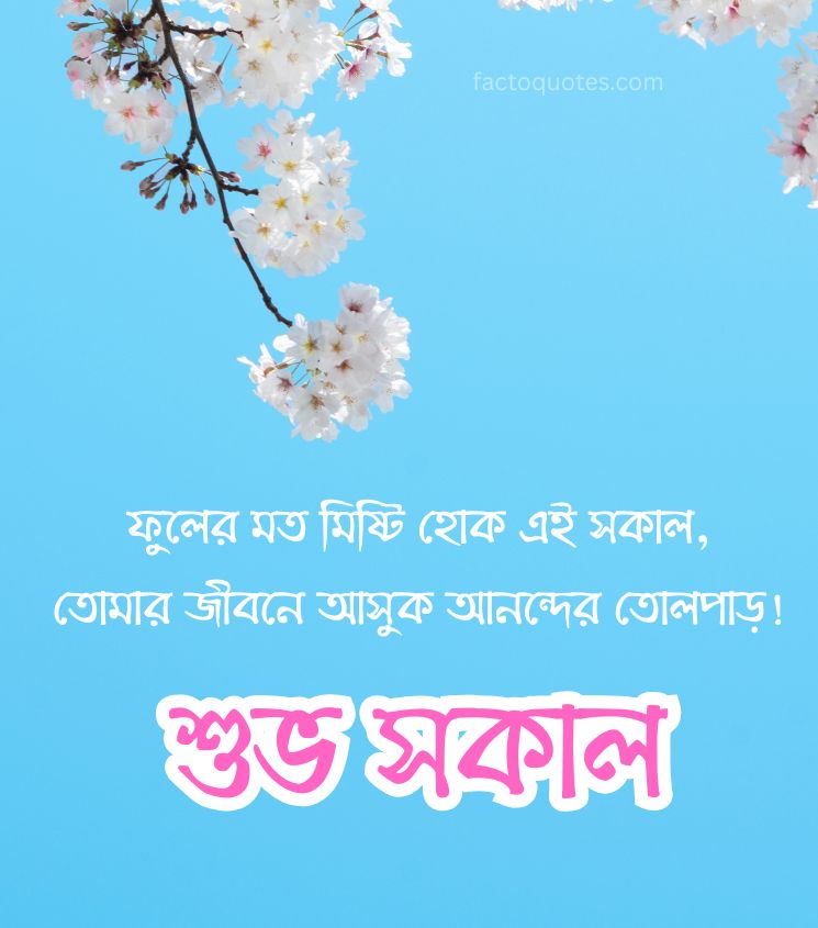 Good Morning Shayari in Bengali