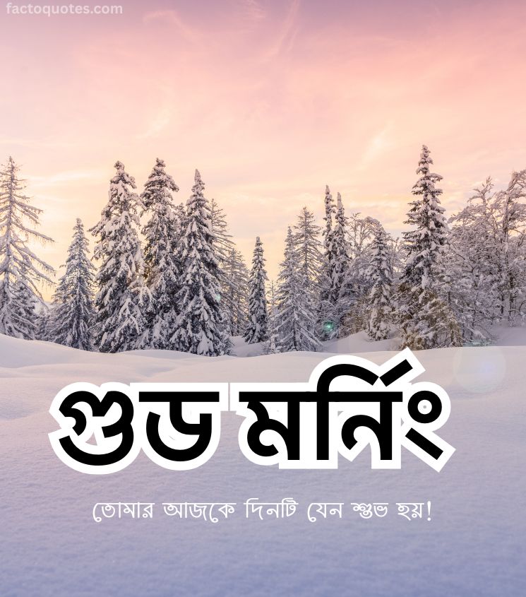 Good Morning Bengali Images for Winter Season