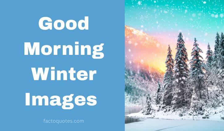 Winter Good Morning Images in Bangla