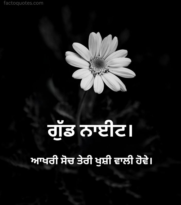 Good Night Wishes in Punjabi with Flower
