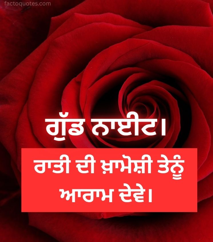 Love Punjabi Good Night Pics with Rose