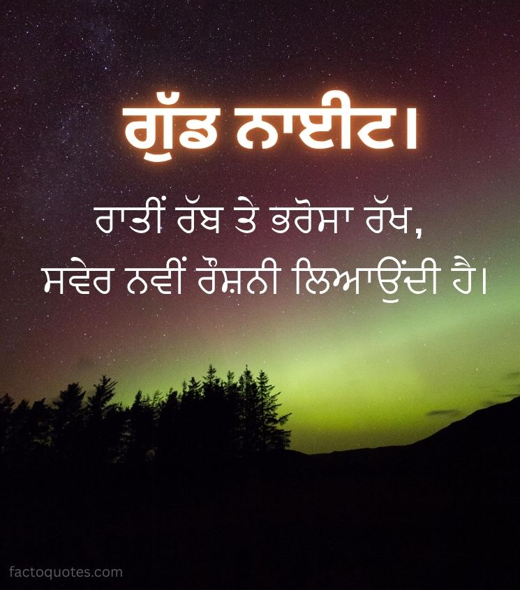 Good Night Punjabi Quotes for Status