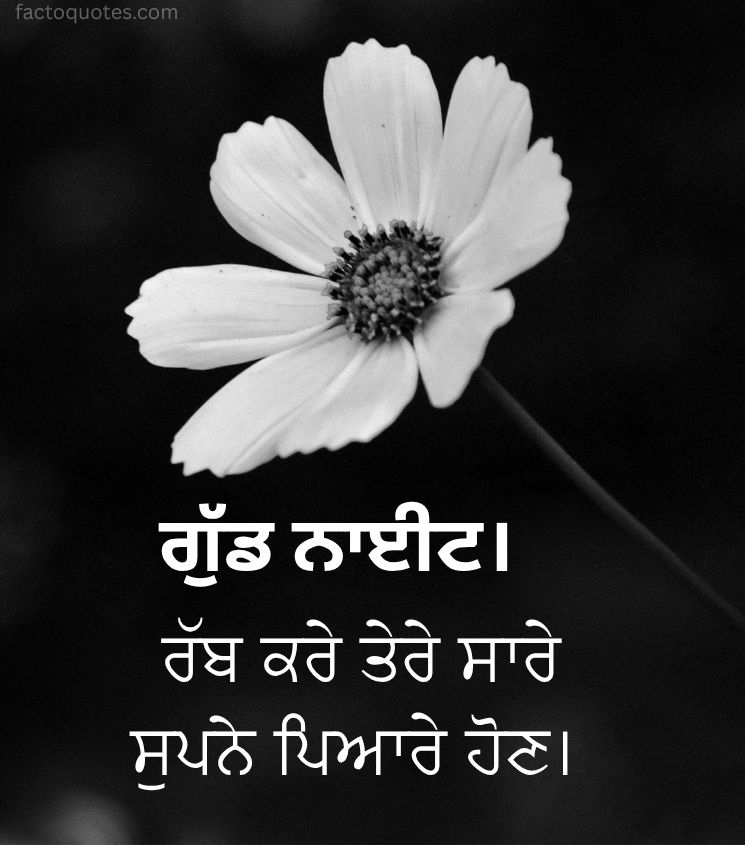 Punjabi Good Night Images with Flower