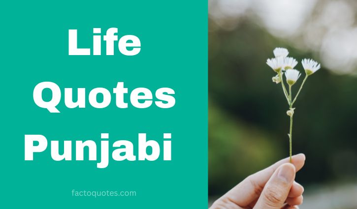 Punjabi life quotes