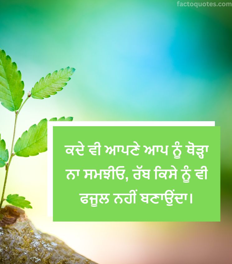 Real Life Quotes in Punjabi