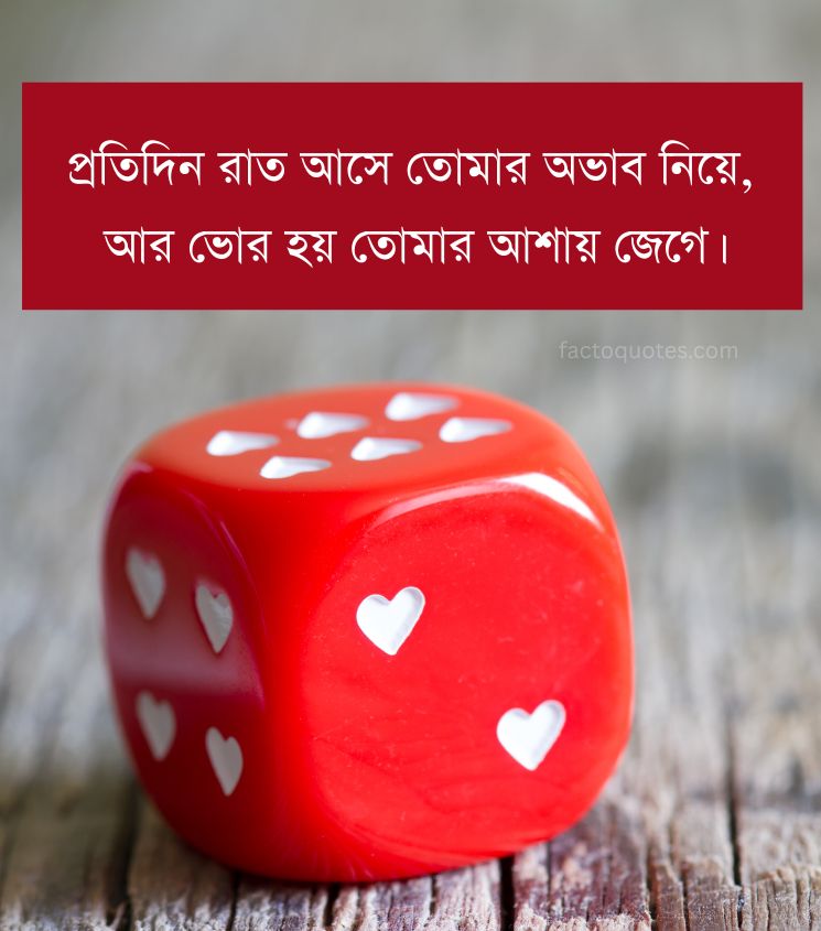 Long Distance Relationship Quotes in Bengali 2 Lines