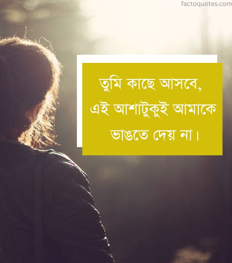 Long Distance Relationship Quotes in Bengali