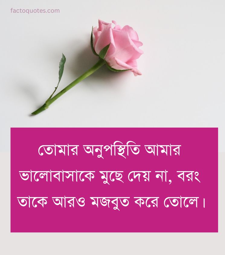 Long Distance Relationship Status Romantic in Bengali