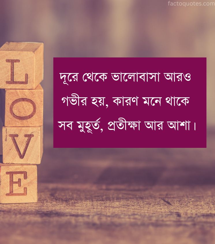 Love Long Distance Relationship Status in Bengali