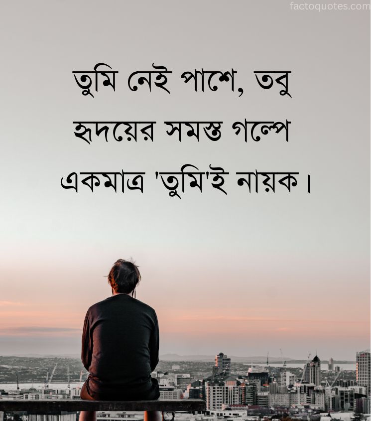 Long Distance Relationship Status in Bengali for Boys