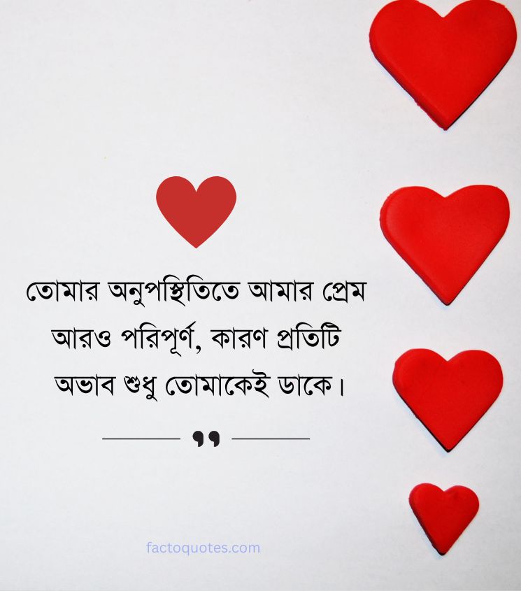 Long Distance Relationship Status Bengali