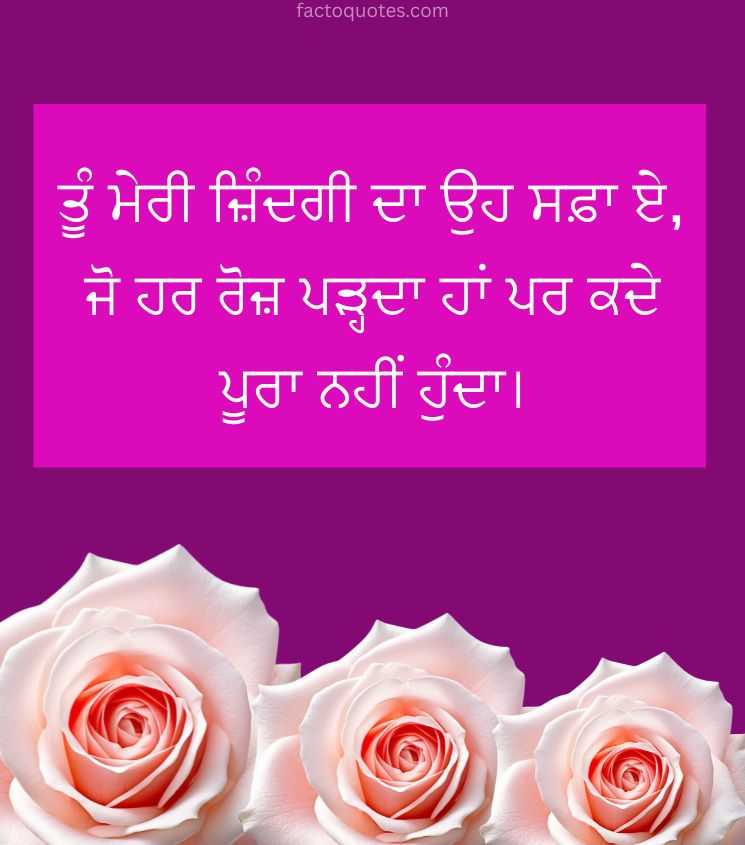 Punjabi Quotes on Love