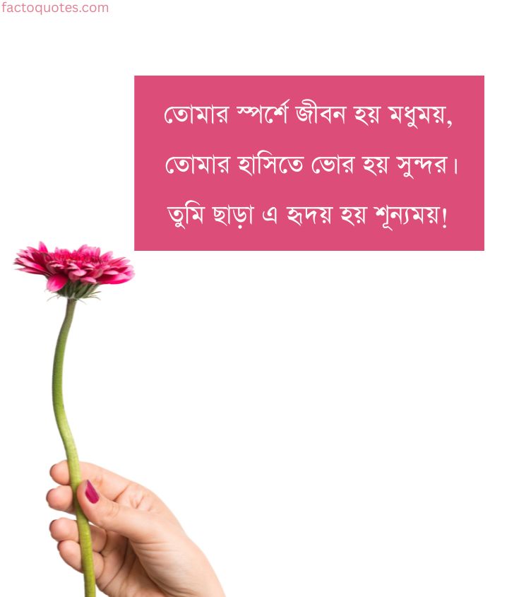 Love Shayari for Her in Bengali Language