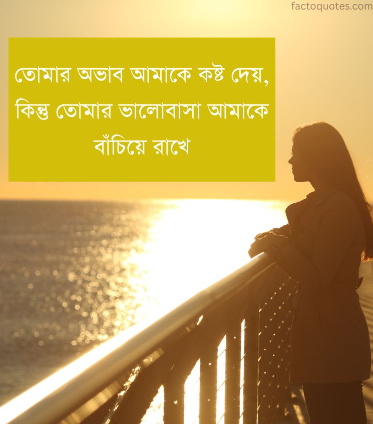 Emotional Long Distance Relationship Quotes in Bengali for girls