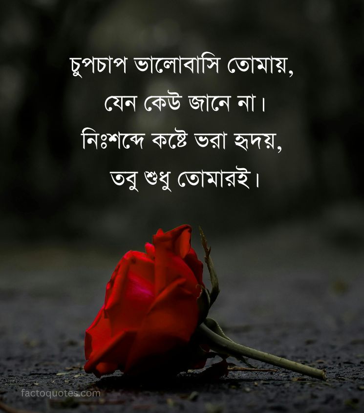 Bengali One Sided Love Shayari
