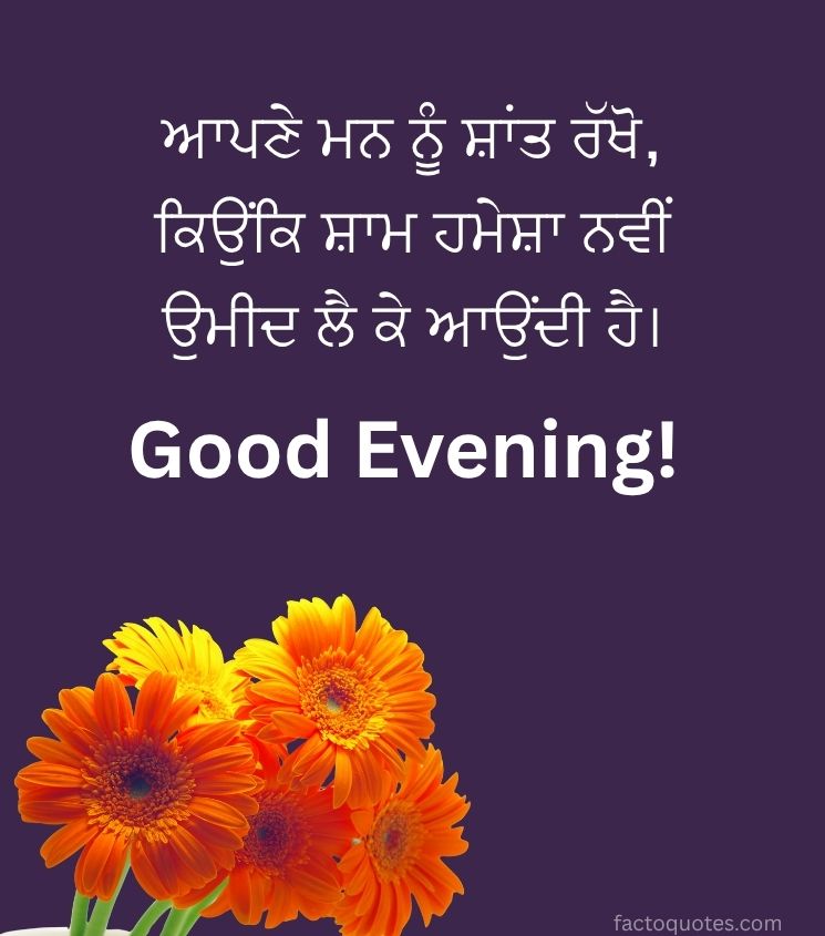 Good Evening Punjabi Quotes for Status with Flower