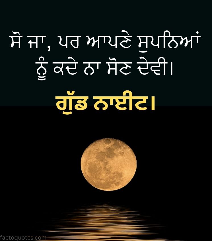 Punjabi Good Night Images with Full Moon