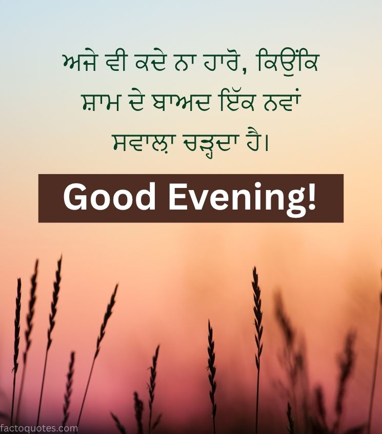 Good Evening Quotes in Punjabi