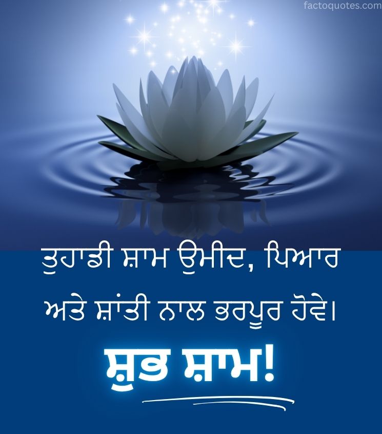 Punjabi Good Evening Pics with Lotus Flower