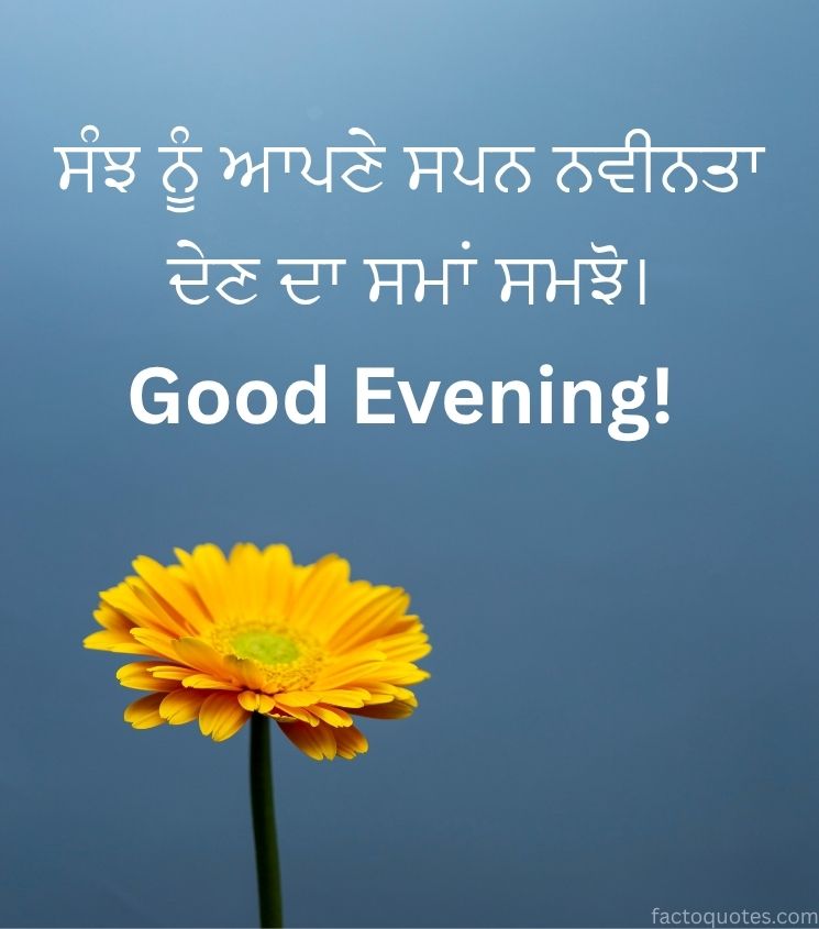 Good Evening Wishes in Punjabi with Flower