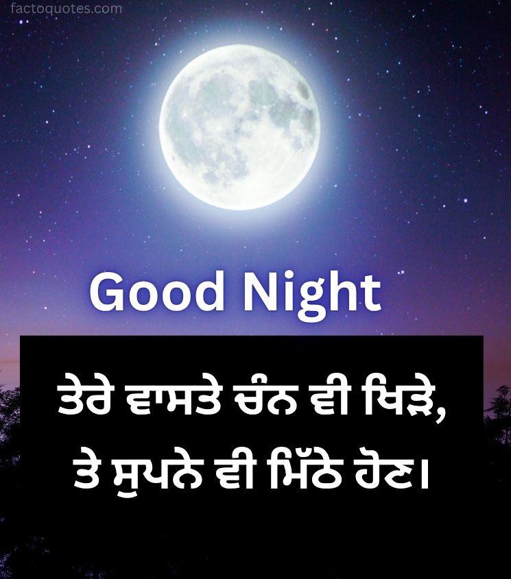 Punjabi Good Night Images with Shining Moon In Background